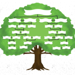 Oddělení pro dospělé