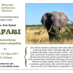 Oddělení pro dospělé