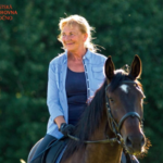 Oddělení pro dospělé