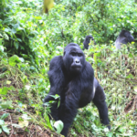 Oddělení pro dospělé