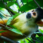 Oddělení pro dospělé