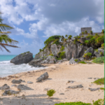 Oddělení pro dospělé