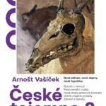 Oddělení pro dospělé